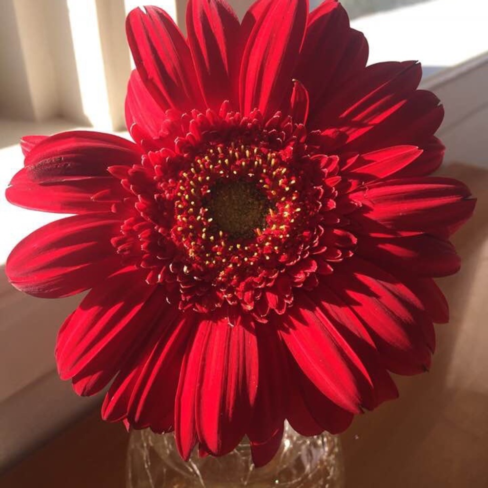 Happy Day!